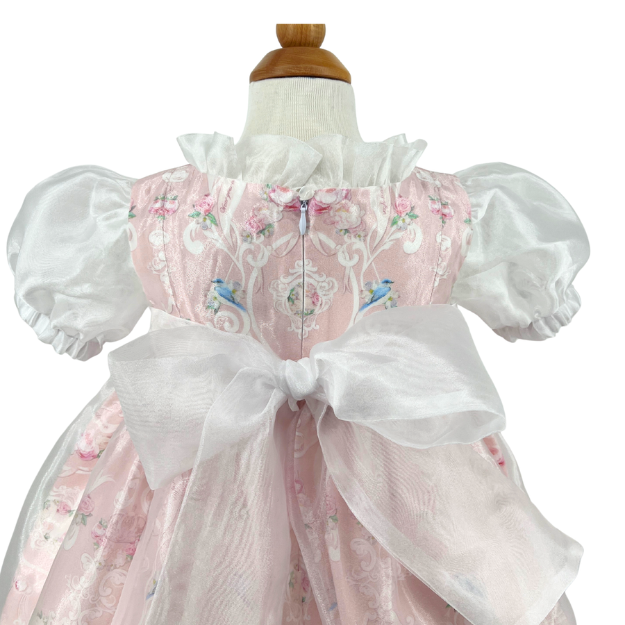 Enchanted Princess Party Dress - Ceci New York x Little Goodall