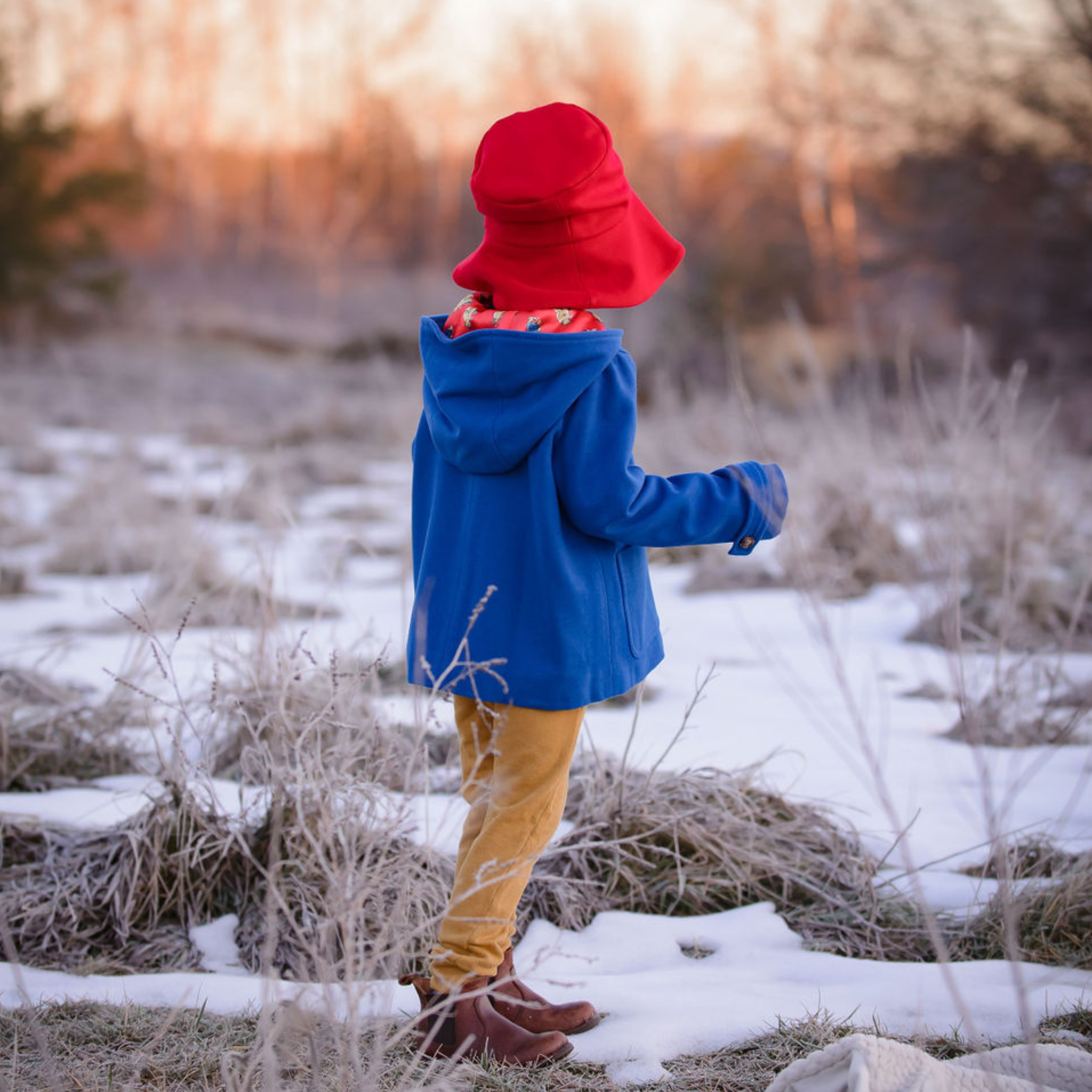 Back-facing view of a child in a cozy winter outfit, featuring a red hat and blue coat, 