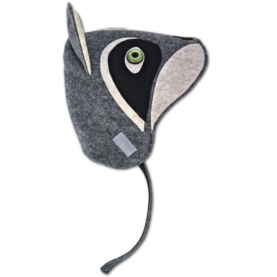 Rowdy Raccoon Hat
